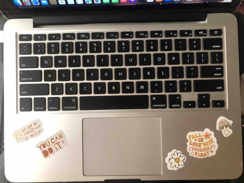 Apple MacBook Pro (Retina, 13-inch, Early 2015) 2