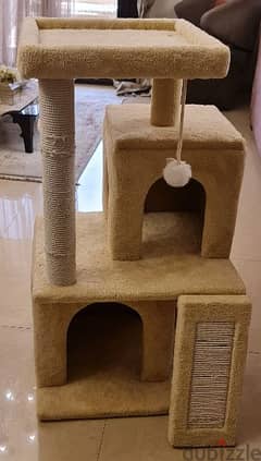 cat house بيت للقطة