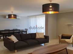 Fully furnished apartment next to AUC for rent in Waterway