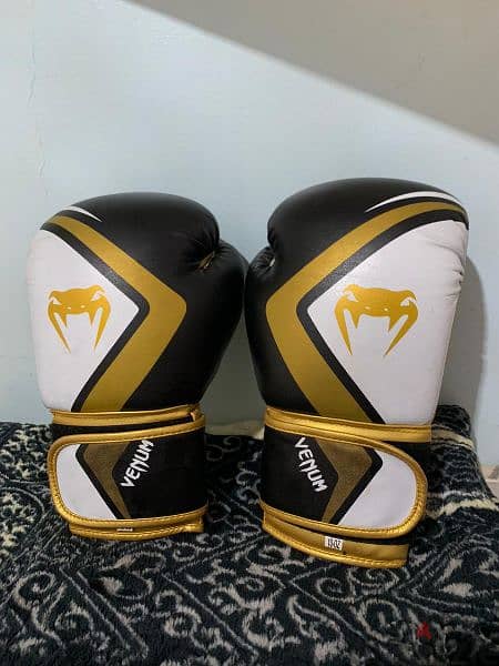 kick boxing gloves 1