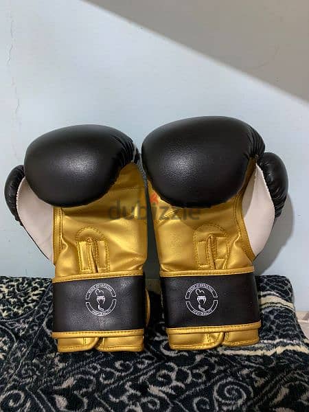 kick boxing gloves 2