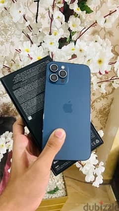 iPhone 12 Pro Max 256