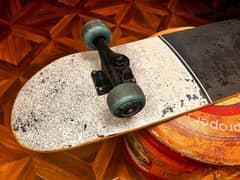 skateboard - Firefly