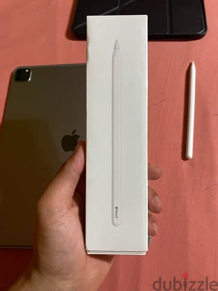 iPad Pro M2 12.9 256 WiFi+Cellular space gray with Apple Pencil 2 5