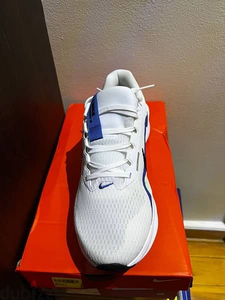 Nike Downshifter 13 2