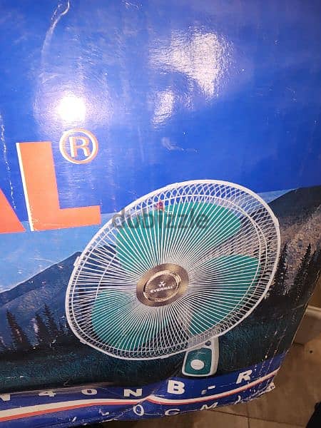 Evernal wall fan 1