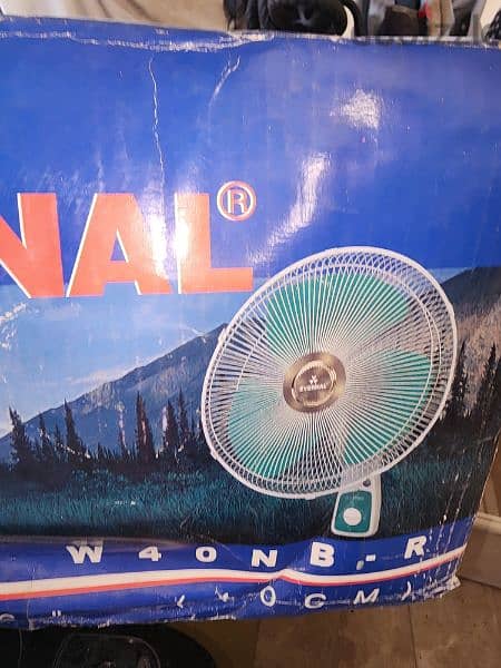 Evernal wall fan 2