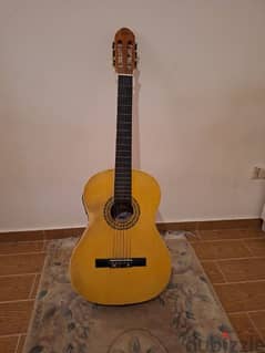 classic Guitar, with original internal mic