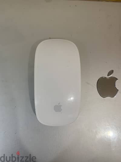 Apple Magic Mouse 1