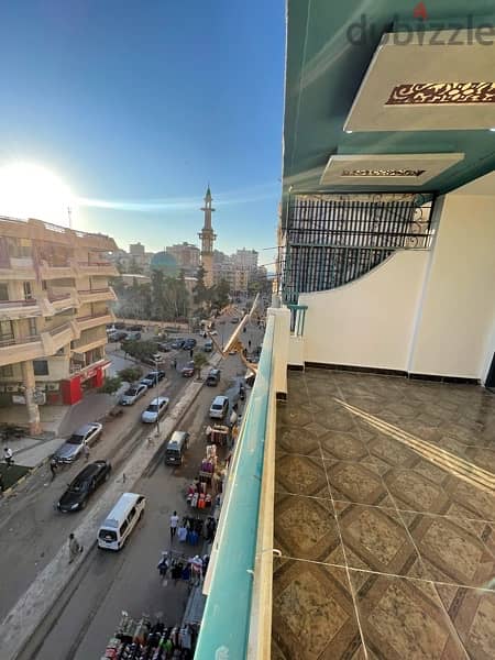 الإسكندرية العجمي شاطئ النخيل 7