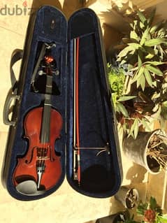 violin