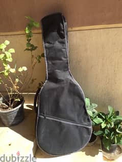 classic guitar case