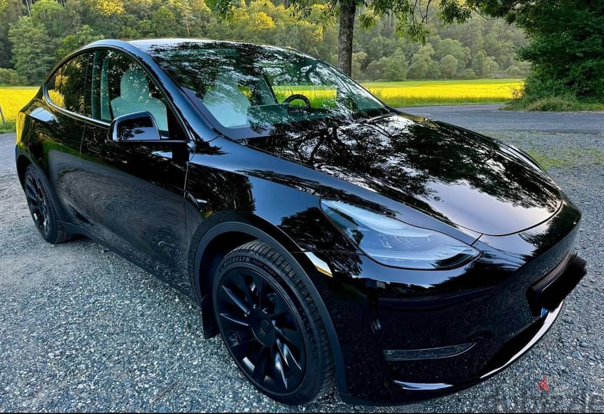 Tesla Model Y Long Range Dual 0