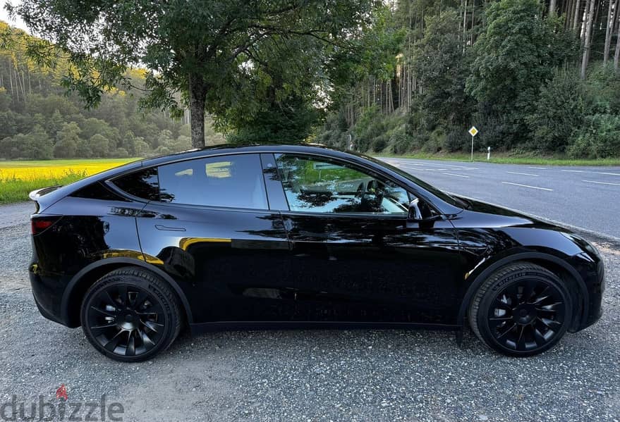 Tesla Model Y Long Range Dual 1