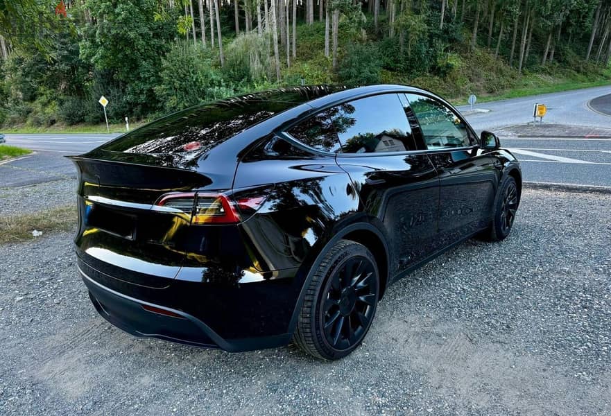 Tesla Model Y Long Range Dual 2