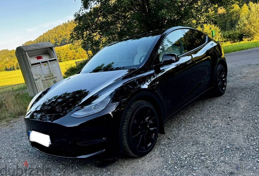 Tesla Model Y Long Range Dual 3