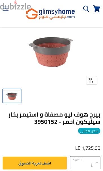 pasta strainer/food steamer 1