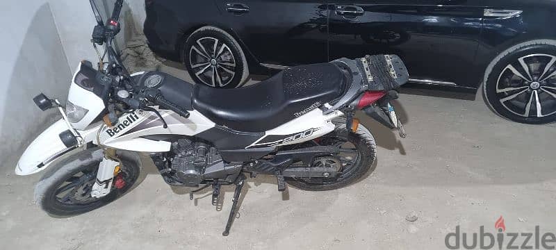 beniile vlx 200cc mode l2021 6