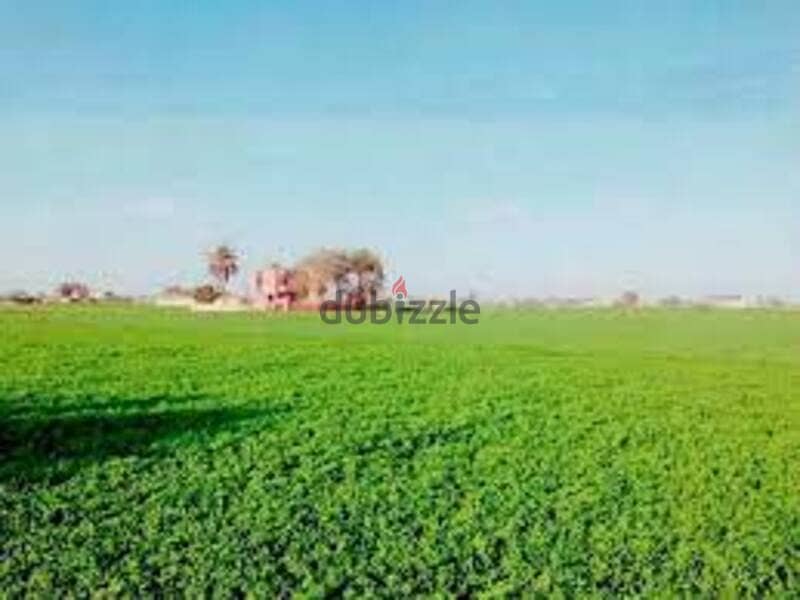 Land 16 Acers in Orabi Obour أرض كاملة المرافق 16فدان في العبور عرابي 1