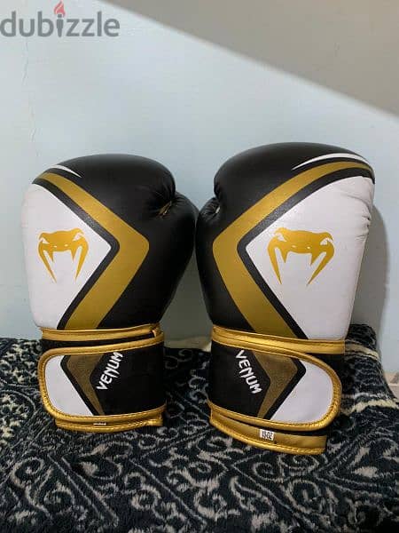 kick boxing gloves(original) 1