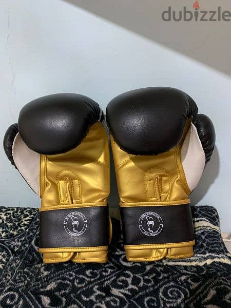 kick boxing gloves(original) 2