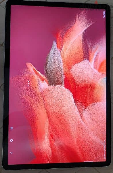 Samsung Galaxy Tab S7 FE 0