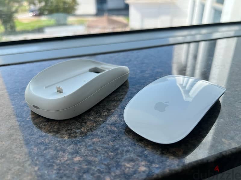 Magic mouse 2 + case + dock 0