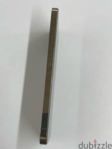 iPhone 13 Pro Max Gold 1