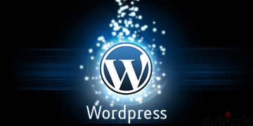 Wordpress developer 0