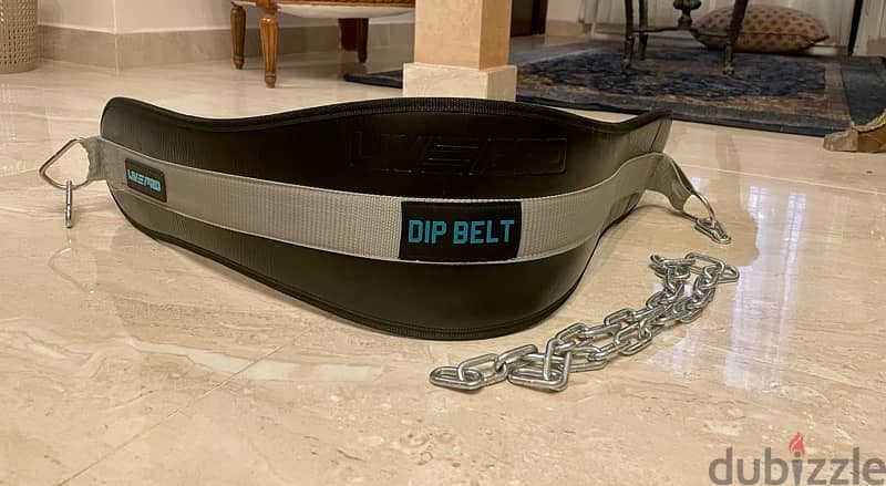 livepro weightbelt 2