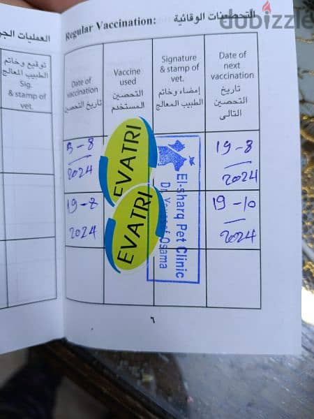 بنوته جريفون الماني مطعمه ديدان وحشرات بتاكل اكل البيت 0