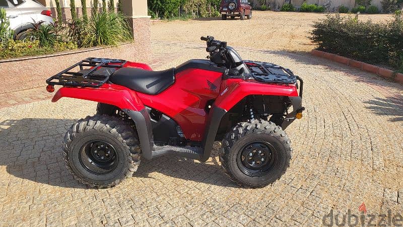 Honda Beach Buggy 2024 3