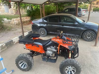 buggy for sale