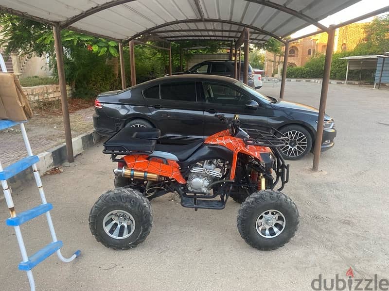 buggy for sale 1