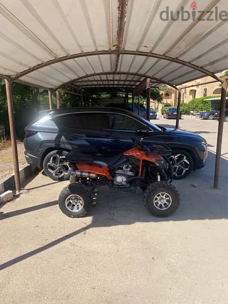 buggy for sale 3