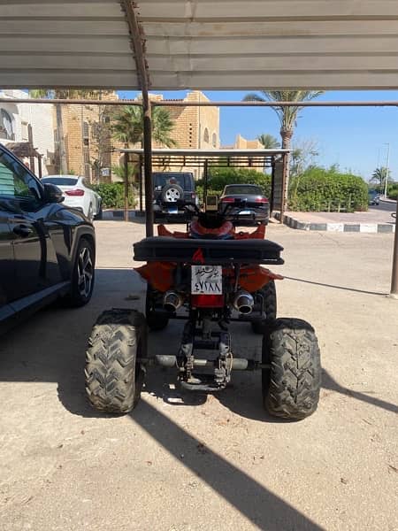 buggy for sale 4