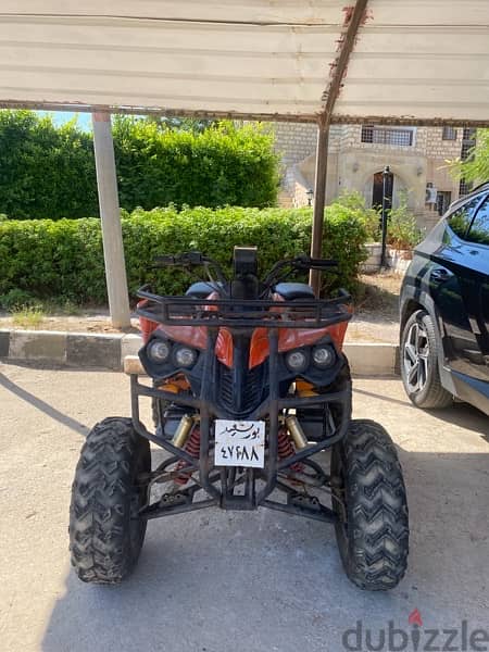 buggy for sale 5