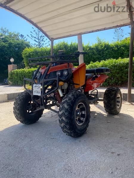 buggy for sale 6