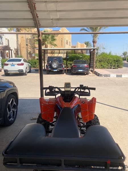 buggy for sale 8