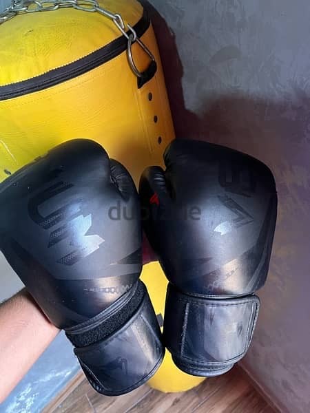 sand bag “daedo” and gloves venom originals 0