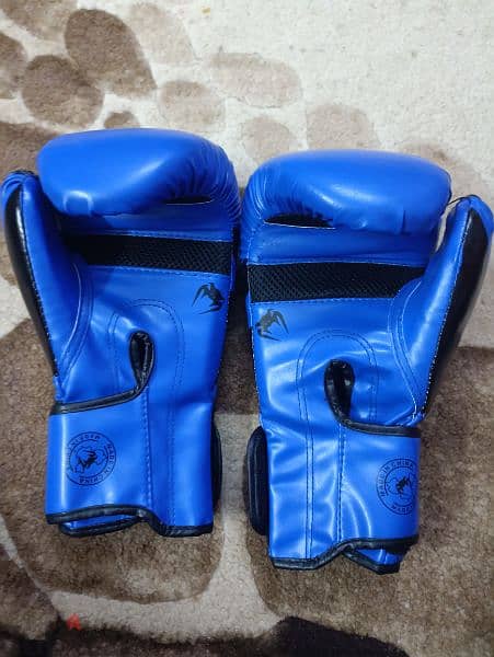 gloves kick boxing original مستورد 0