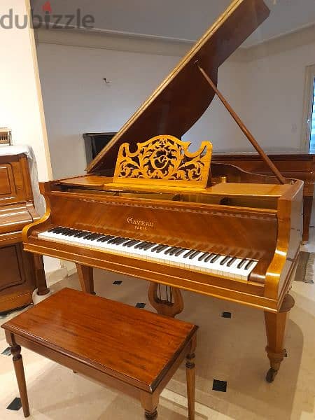 authentic pianos 1