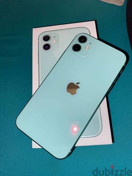 iPhone 11 - green color 1