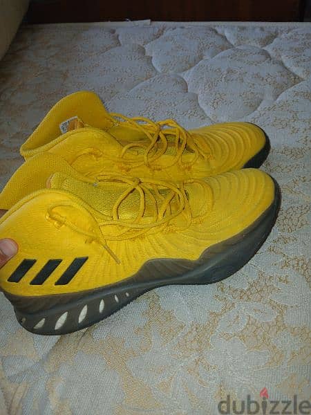 Adidas basketball shoes  size 46⅔ 1