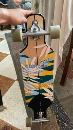 skateboard (longboard)