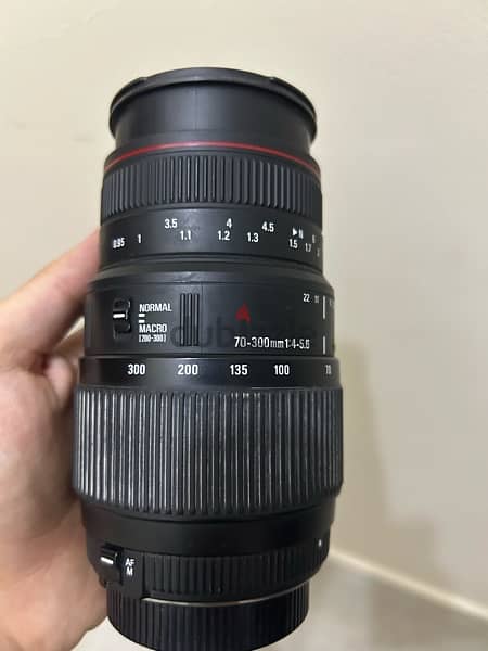 Sigma 70-300 Macro Nikon 2