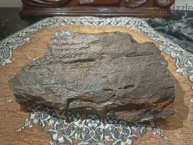 A piece of petrified wood weighing 1780 grams for collecter