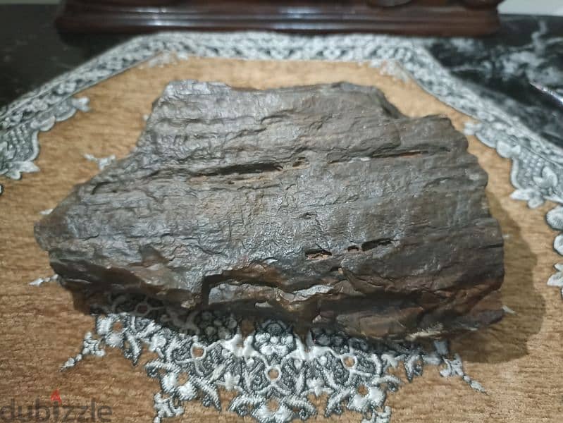 A piece of petrified wood weighing 1780 grams for collecter 1