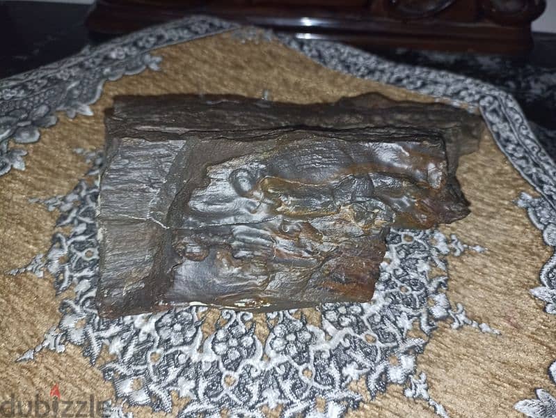 A piece of petrified wood weighing 1780 grams for collecter 2