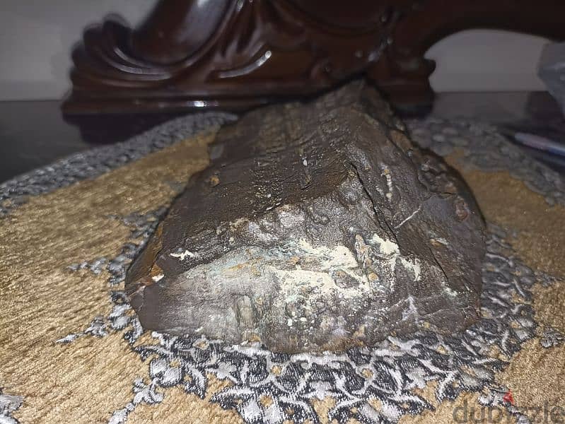 A piece of petrified wood weighing 1780 grams for collecter 3